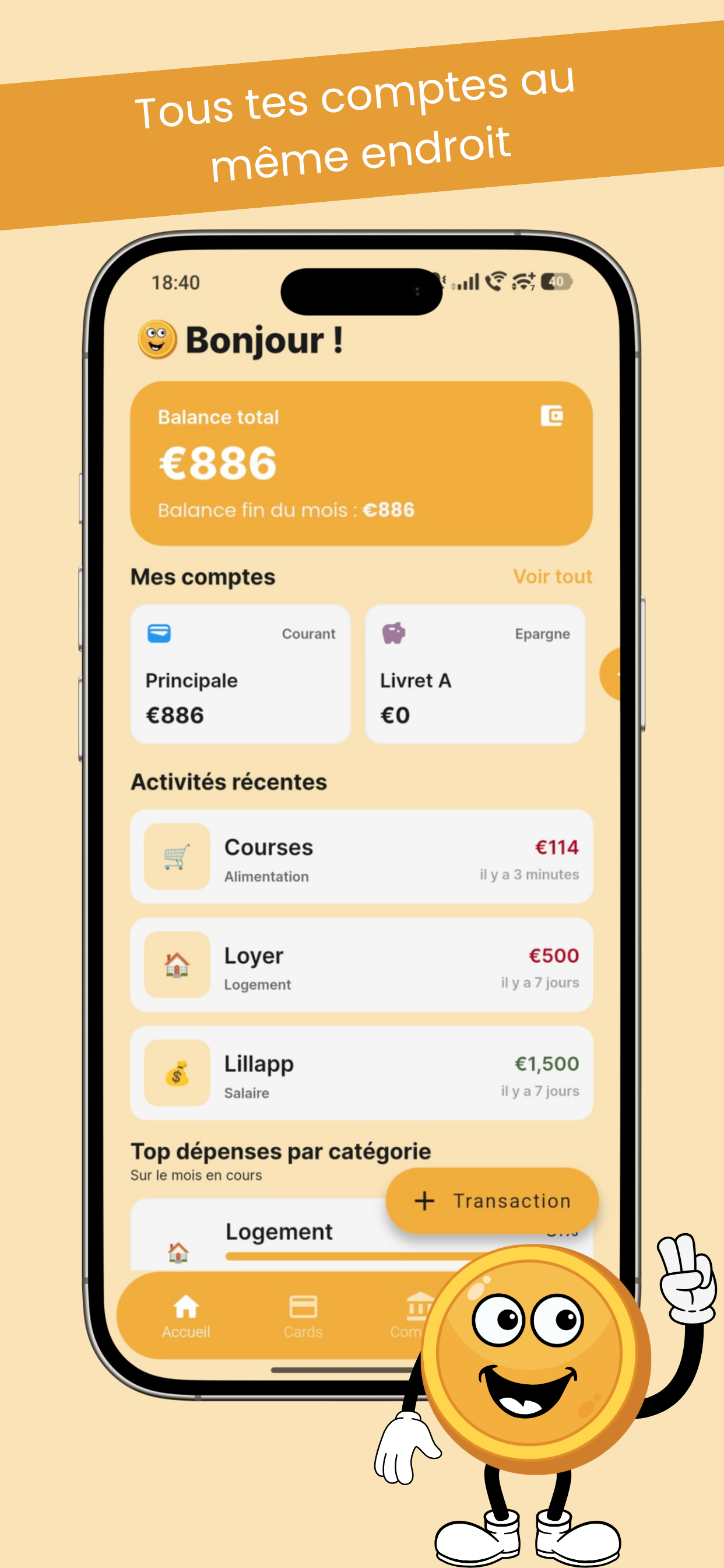 Interface Budget App